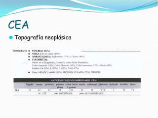 CEA
⚫ Topografía neoplásica
 