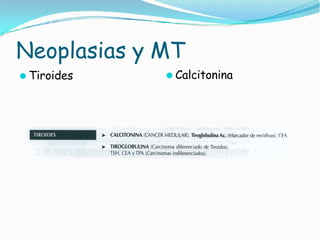 Neoplasias y MT
⚫ Tiroides ⚫ Calcitonina
 