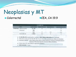 Neoplasias y MT
⚫ Colorrectal ⚫CEA, CA 19.9
 