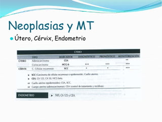 Neoplasias y MT
⚫ Útero, Cérvix, Endometrio
 