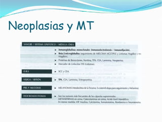 Neoplasias y MT
 