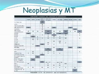 Neoplasias y MT
 