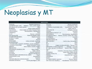 Neoplasias y MT
 