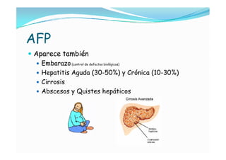 AFP
 Aparece también
   Embarazo (control de defectos biológicos)
   Hepatitis Aguda (30-50%) y Crónica (10-30%)
   Cirrosis
   Abscesos y Quistes hepáticos
 