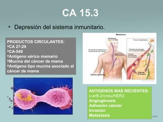 • Depresión del sistema inmunitario.
CA 15.3
PRODUCTOS CIRCULANTES:
CA 27-29
CA-549
Antígeno sérico mamario
Mucina del cáncer de mama
Antígeno tipo mucina asociado al
cáncer de mama
ANTIGENOS MAS RECIENTES:
c-erB-2/cneu/HER2
Angiogénesis
Adhesión celular
Invasión
Metástasis
 