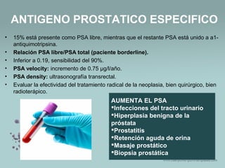 • 15% está presente como PSA libre, mientras que el restante PSA está unido a a1-
antiquimotripsina.
• Relación PSA libre/PSA total (paciente borderline).
• Inferior a 0.19, sensibilidad del 90%.
• PSA velocity: incremento de 0.75 µg/l/año.
• PSA density: ultrasonografía transrectal.
• Evaluar la efectividad del tratamiento radical de la neoplasia, bien quirúrgico, bien
radioterápico.
ANTIGENO PROSTATICO ESPECIFICO
AUMENTA EL PSA
Infecciones del tracto urinario
Hiperplasia benigna de la
próstata
Prostatitis
Retención aguda de orina
Masaje prostático
Biopsia prostática
 