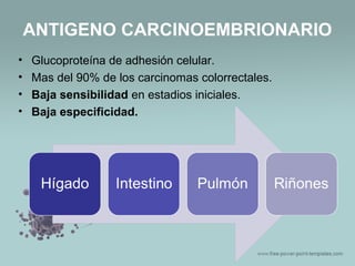 ANTIGENO CARCINOEMBRIONARIO
• Glucoproteína de adhesión celular.
• Mas del 90% de los carcinomas colorrectales.
• Baja sensibilidad en estadios iniciales.
• Baja especificidad.
 