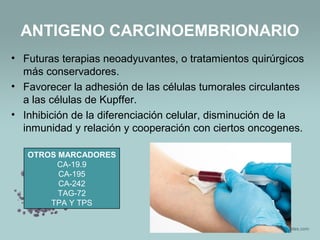 ANTIGENO CARCINOEMBRIONARIO
• Futuras terapias neoadyuvantes, o tratamientos quirúrgicos
más conservadores.
• Favorecer la adhesión de las células tumorales circulantes
a las células de Kupffer.
• Inhibición de la diferenciación celular, disminución de la
inmunidad y relación y cooperación con ciertos oncogenes.
OTROS MARCADORES
CA-19.9
CA-195
CA-242
TAG-72
TPA Y TPS
 