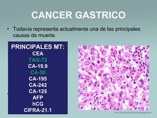 CANCER GASTRICO
• Todavía representa actualmente una de las principales
causas de muerte.
PRINCIPALES MT:
CEA
TAG-72
CA-19.9
CA-50
CA-195
CA-242
CA-125
AFP
hCG
CIFRA-21.1
 