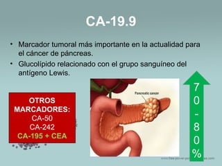 CA-19.9
• Marcador tumoral más importante en la actualidad para
el cáncer de páncreas.
• Glucolípido relacionado con el grupo sanguíneo del
antígeno Lewis.
7
0
-
8
0
%
OTROS
MARCADORES:
CA-50
CA-242
CA-195 + CEA
 