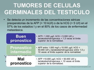 • Se detecta un incremento de las concentraciones séricas
preoperatorias de la AFP (> 10 kU/l) o de la hCG (> 5 U/l) en el
57% de los estadios I y en el 80% de los casos de enfermedad
metastásica.
TUMORES DE CELULAS
GERMINALES DEL TESTICULO
 
