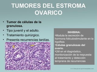 TUMORES DEL ESTROMA
OVARICO
• Tumor de células de la
granulosa.
• Tipo juvenil y el adulto.
• Tratamiento quirúrgico.
• Presenta recurrencias tardías.
INHIBINA:
•Modula la secreción de
hormona foliculostimulante en la
hipófisis
•Células granulosas del
ovario.
•Útil en el diagnóstico,
monitorización de la respuesta
al tratamiento y detección
temprana de recurrencias
 