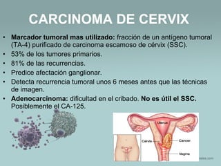 • Marcador tumoral mas utilizado: fracción de un antígeno tumoral
(TA-4) purificado de carcinoma escamoso de cérvix (SSC).
• 53% de los tumores primarios.
• 81% de las recurrencias.
• Predice afectación ganglionar.
• Detecta recurrencia tumoral unos 6 meses antes que las técnicas
de imagen.
• Adenocarcinoma: dificultad en el cribado. No es útil el SSC.
Posiblemente el CA-125.
CARCINOMA DE CERVIX
 