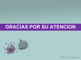 GRACIAS POR SU ATENCION
 