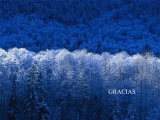 GRACIAS 