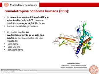 MarcadoresTumorales
Gonadotropina coriónica humana (hCG):
• La determinación simultánea de AFP y la
subunidad beta de la h...