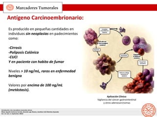 MarcadoresTumorales
Antígeno Carcinoembrionario:
Es producido en pequeñas cantidades en
individuos sin neoplasias en padec...