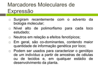 Marcadores Moleculares de
Expressão










Surgiram recentemente com o advento da
biologia molecular;
Nível alto de polimorfismo para cada loco
estudado;
Neutros em relação a efeitos fenotípicos;
Em geral, são co-dominantes, contendo maior
quantidade de informação genética por loco;
Podem ser usados para caracterizar o genótipo
de um indivíduo a partir de amostras de células
ou de tecidos e, em qualquer estádio de
desenvolvimento da planta.

 