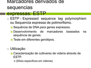 Marcadores derivados de
sequencias
expressas: ESTP


ESTP - Expressed sequence tag polymorphism
ou Sequencia expressa de polimorfismo.
Sequência de DNA para genes expressos.
 Desenvolvimento
de marcadores baseados
sequência de genes.
 Teste em diferentes genótipos.




Utilização:


Caracterização de cultivares de videira através de
ESTP.


(Sítios específicos em videiras)

na

 
