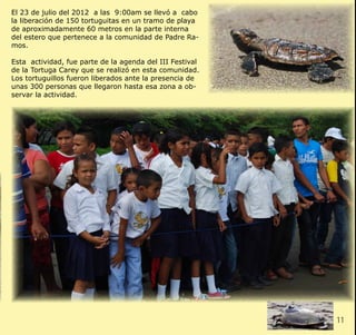 11CLIENT. CRS PORTFOLIO TEMPLATE
WEB. www.crsindesigntemplates.com
El 23 de julio del 2012 a las 9:00am se llevó a cabo
la liberación de 150 tortuguitas en un tramo de playa
de aproximadamente 60 metros en la parte interna
del estero que pertenece a la comunidad de Padre Ra-
mos.
Esta actividad, fue parte de la agenda del III Festival
de la Tortuga Carey que se realizó en esta comunidad.
Los tortuguillos fueron liberados ante la presencia de
unas 300 personas que llegaron hasta esa zona a ob-
servar la actividad.
 