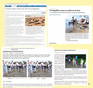 13CLIENT. CRS PORTFOLIO TEMPLATE
WEB. www.crsindesigntemplates.com
 