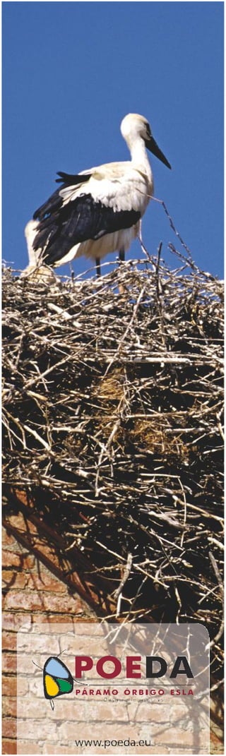 Marcapáginas Poeda 2011