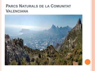 PARCS NATURALS DE LA COMUNITAT 
VALENCIANA 
 