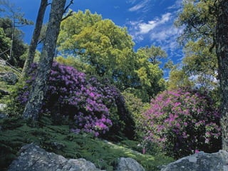 Marca parque natural