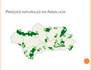 PARQUES NATURALES EN ANDALUCÍA 
 