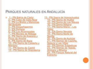 PARQUES NATURALES EN ANDALUCÍA 
 1.- PN Bahía de Cádiz 
2.- PN Cabo de Gata-Níjar 
3.- PN La Breña y Marismas 
del Barbate 
4.- PN Despeñaperros 
5.- EN Doñana 
6.- PN Los Alcornocales 
7.- PN Montes de Málaga 
8.- PN Sierra de Aracena y 
Picos de Aroche 
9.- PN Sierra de Baza 
10.- PN Sierra de Cardeña y 
Montoro 
11.- PN Sierra de Castril 
12.- PN Sierra de Grazalema 
13.- PN Sierra de Hornachuelos 
14.- PN Sierra de Huétor 
15.- PN Sierra de Las Nieves 
16.- PN Sierra Mágina 
17.- PN Sierra María – Los 
Vélez 
18.- EN Sierra Nevada 
19.- PN Sierra Norte de 
Sevilla 
20.- PN Sierra de Andújar 
21.- PN Sierras de Cazorla, 
Segura y Las Villas 
22.- PN Sierras Subbéticas 
23.- PN Sierras de Tejeda, 
Almijara y Alhama 
24.- PN Parque Natural del 
Estrecho 
 