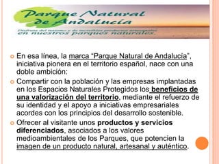  En esa línea, la marca “Parque Natural de Andalucía”, 
iniciativa pionera en el territorio español, nace con una 
doble ambición: 
 Compartir con la población y las empresas implantadas 
en los Espacios Naturales Protegidos los beneficios de 
una valorización del territorio, mediante el refuerzo de 
su identidad y el apoyo a iniciativas empresariales 
acordes con los principios del desarrollo sostenible. 
 Ofrecer al visitante unos productos y servicios 
diferenciados, asociados a los valores 
medioambientales de los Parques, que potencien la 
imagen de un producto natural, artesanal y auténtico. 
 