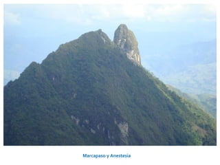 Marcapaso y Anestesia   