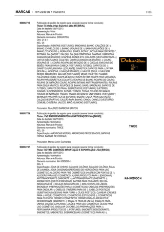 RPI - Marcas 2249 "Vervs Consultoria" 