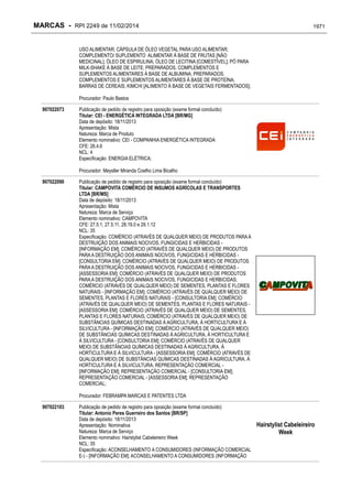 RPI - Marcas 2249 "Vervs Consultoria" 