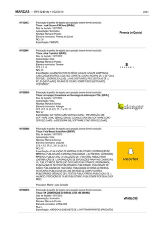 RPI - Marcas 2249 "Vervs Consultoria" 