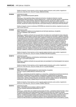 RPI - Marcas 2249 "Vervs Consultoria" 