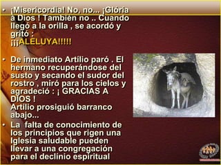 ¡Misericordia! No, no... ¡Glória à Dios ! También no .. Cuando llegó a la orilla , se acordó y gritó :¡¡¡ALELUYA!!!!!De inmediato Artílio paró . El hermano recuperándose del susto y secando el sudor del rostro , miró para los cielos y agradeció : ¡ GRACIAS A DIOS ! Artílio prosiguió barranco abajo...La  falta de conocimiento de los principios que rigen una Iglesia saludable pueden llevar a una congregación para el declínio espiritual
