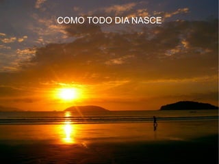 COMO TODO DIA NASCE 