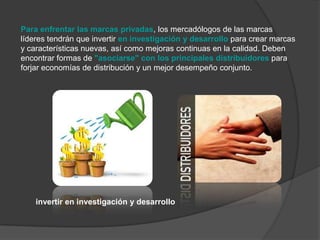 Para enfrentar las marcas privadas, los mercadólogos de las marcas
líderes tendrán que invertir en investigación y desarrollo para crear marcas
y características nuevas, así como mejoras continuas en la calidad. Deben
encontrar formas de "asociarse" con los principales distribuidores para
forjar economías de distribución y un mejor desempeño conjunto.




    invertir en investigación y desarrollo
 