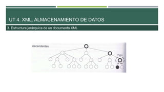 UT 4. XML. ALMACENAMIENTO DE DATOS
3. Estructura jerárquica de un documento XML
 