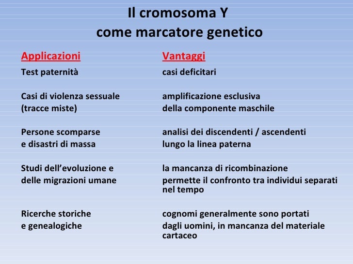 Marcatori di linea seminario 2010