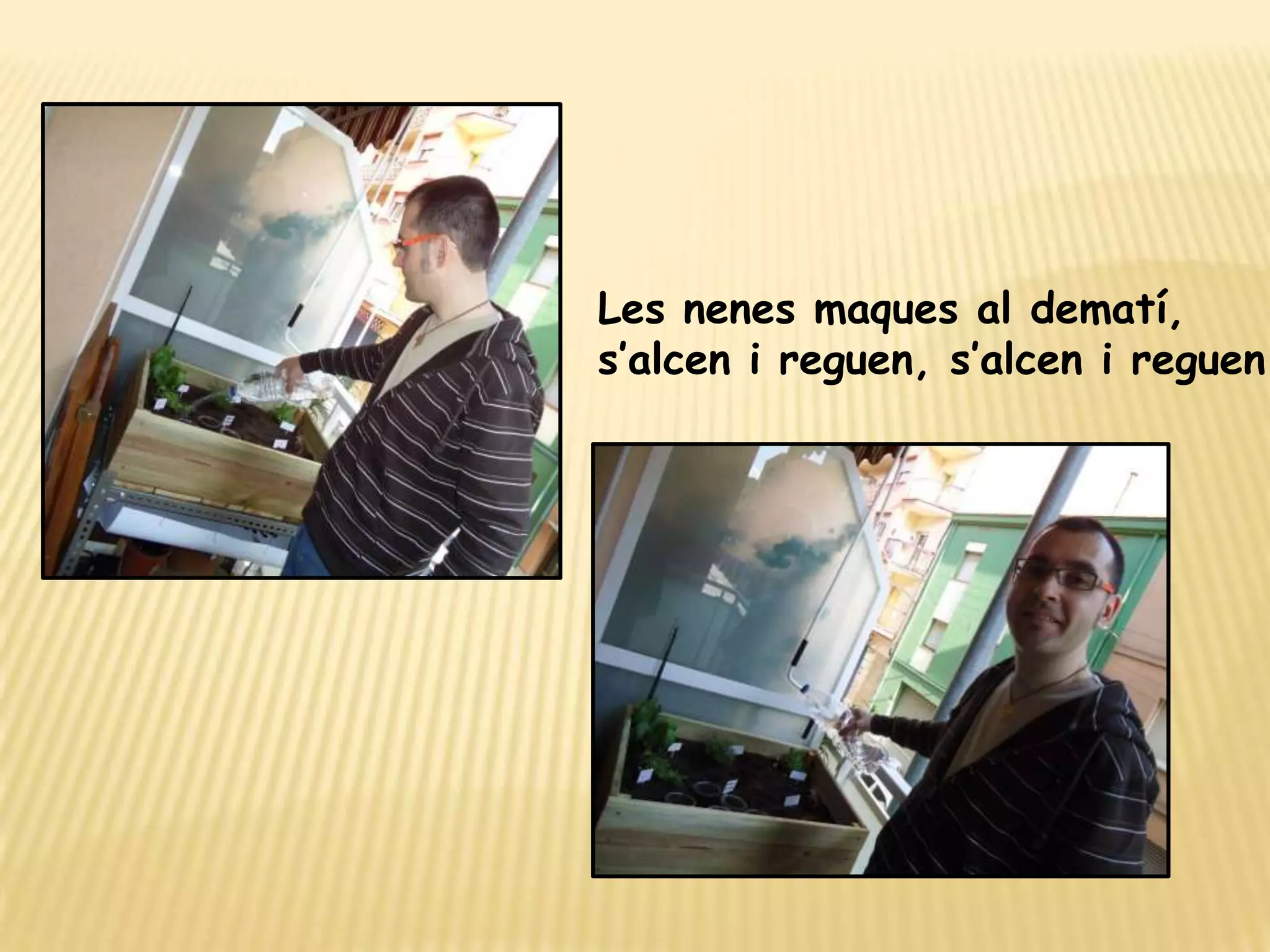 Les nenes maques al dematí,s’alcen i reguen, s’alcen i reguen...