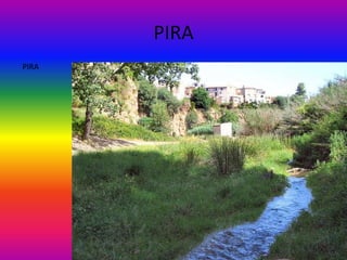 PIRA
PIRA
 