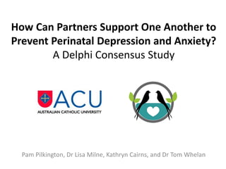 How Can Partners Support One Another to
Prevent Perinatal Depression and Anxiety?
A Delphi Consensus Study
Pam Pilkington, Dr Lisa Milne, Kathryn Cairns, and Dr Tom Whelan
 