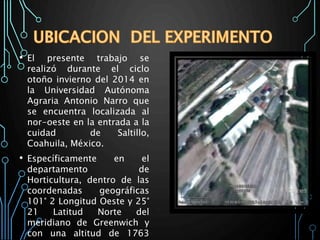 • El presente trabajo se
realizó durante el ciclo
otoño invierno del 2014 en
la Universidad Autónoma
Agraria Antonio Narro que
se encuentra localizada al
nor-oeste en la entrada a la
cuidad de Saltillo,
Coahuila, México.
• Específicamente en el
departamento de
Horticultura, dentro de las
coordenadas geográficas
101° 2 Longitud Oeste y 25°
21 Latitud Norte del
meridiano de Greenwich y
con una altitud de 1763
 