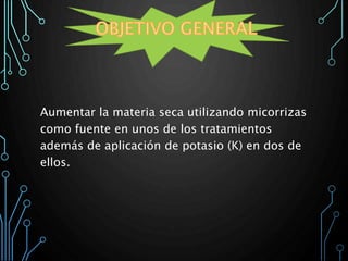 Aumentar la materia seca utilizando micorrizas
como fuente en unos de los tratamientos
además de aplicación de potasio (K) en dos de
ellos.
 