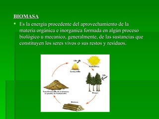 BIOMASA
 Es la energia procedente del aprovechamiento de la
  materia orgánica e inorganica formada en algún proceso
  biológico u mecanico, generalmente, de las sustancias que
  constituyen los seres vivos o sus restos y residuos.
 