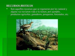 RECURSOS BIOTICOS
 Son aquellos recursos que se regeneran por ley natural y
   alguna vez tuvieron vida o la tienen, por ejemplo,
   productos agrícolas, ganaderos, pesqueros, forestales, etc.
 