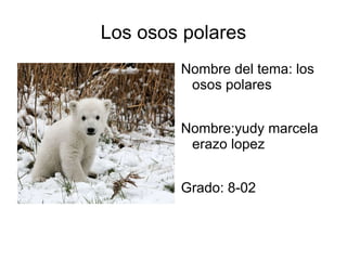 Los osos polares ,[object Object]