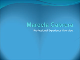 Professional Experience Overview 
